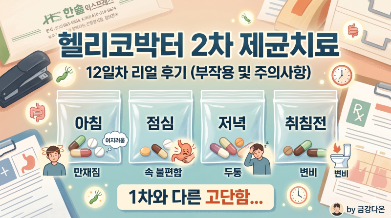 헬리코박터 2차 제균치료 12일차 후기.