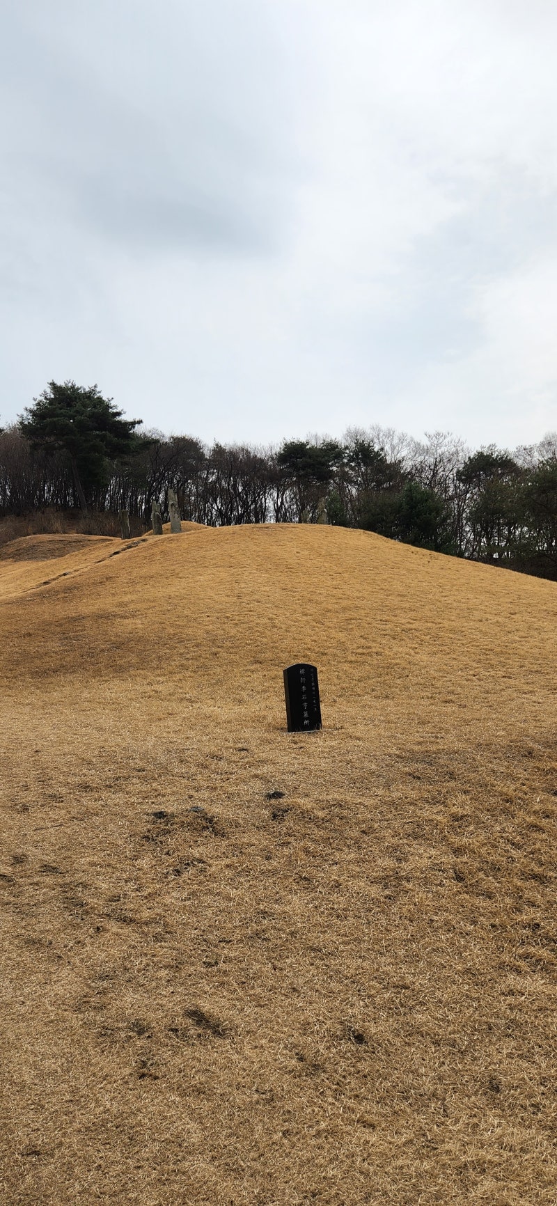 포은 정몽주 선생 묘소(feat. 저헌 이석형 선생묘)