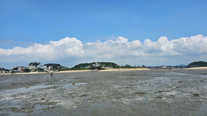 배려 없는 직장 동료