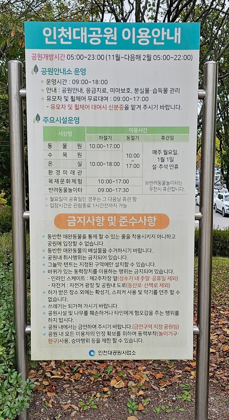 인천대공원 호수 산책 (ft. 잉어, 오리)